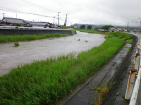 IMGP0225