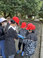 image_67527937