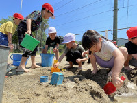 s-IMG_1217