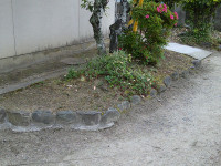 DSCF0435
