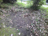 DSCF0464